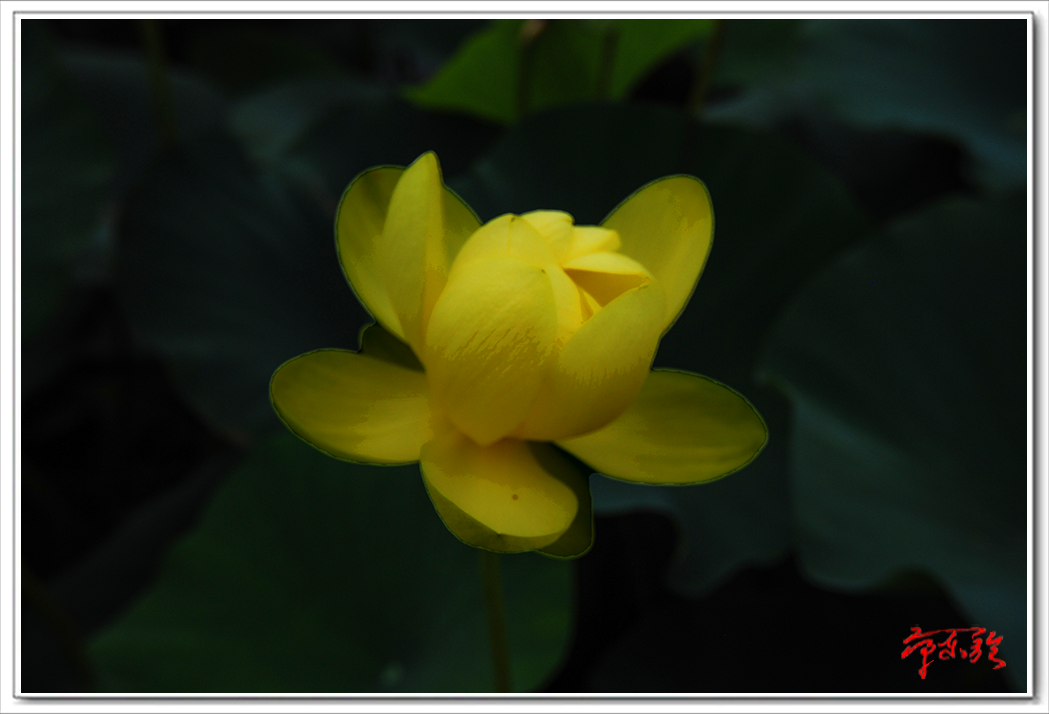 ts0268.png