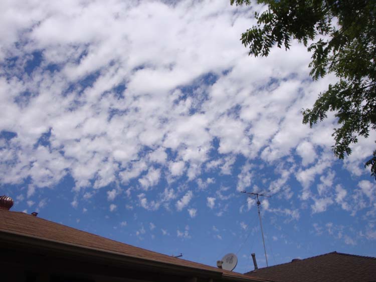 DSC01713.JPG