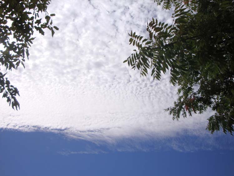 DSC01751.JPG
