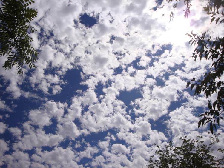 DSC01714.JPG