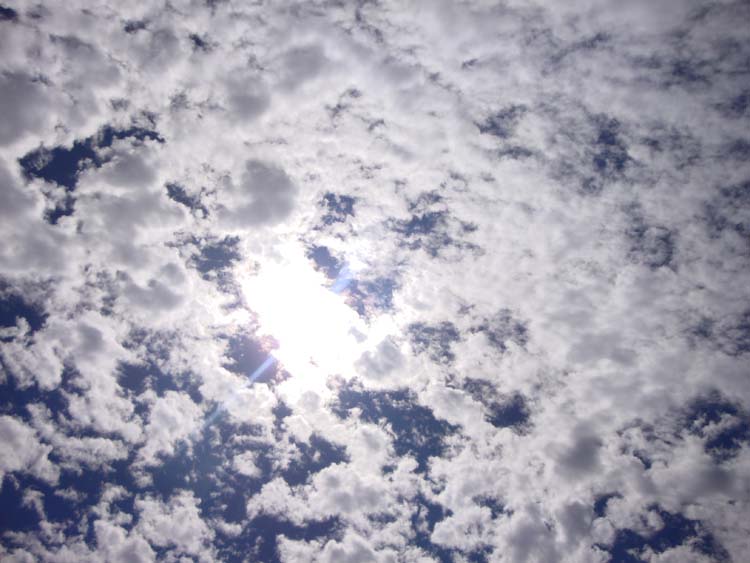 DSC01717.JPG