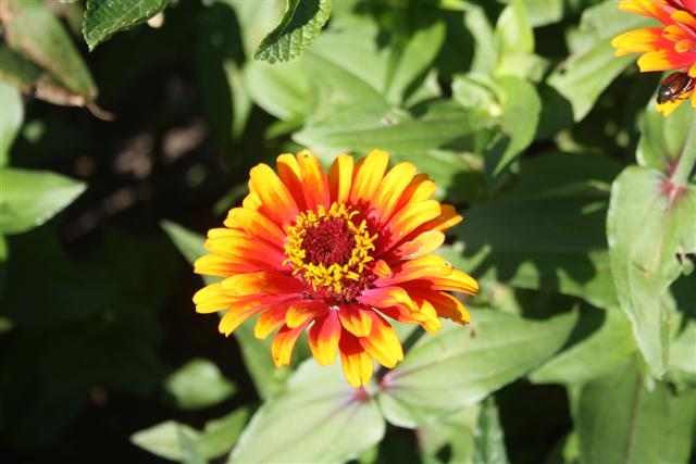 Picture 095 (Small).jpg
