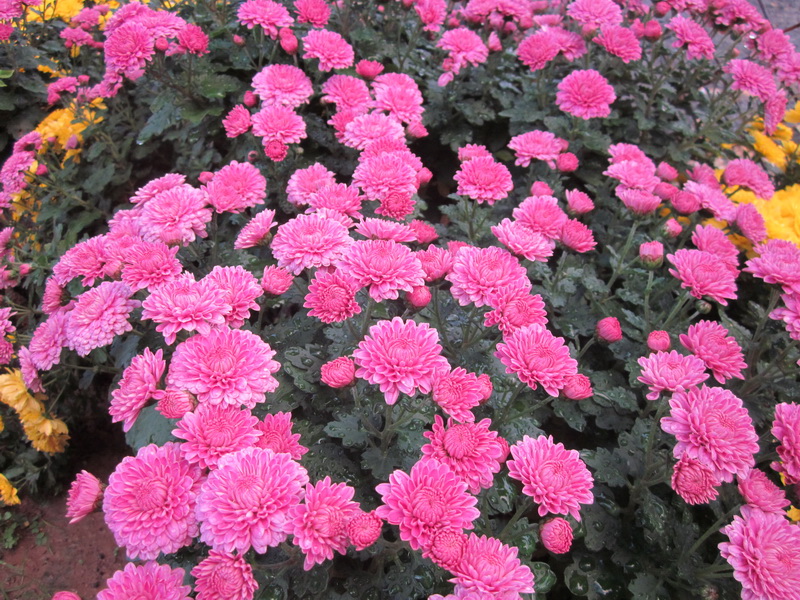 1970.jpg