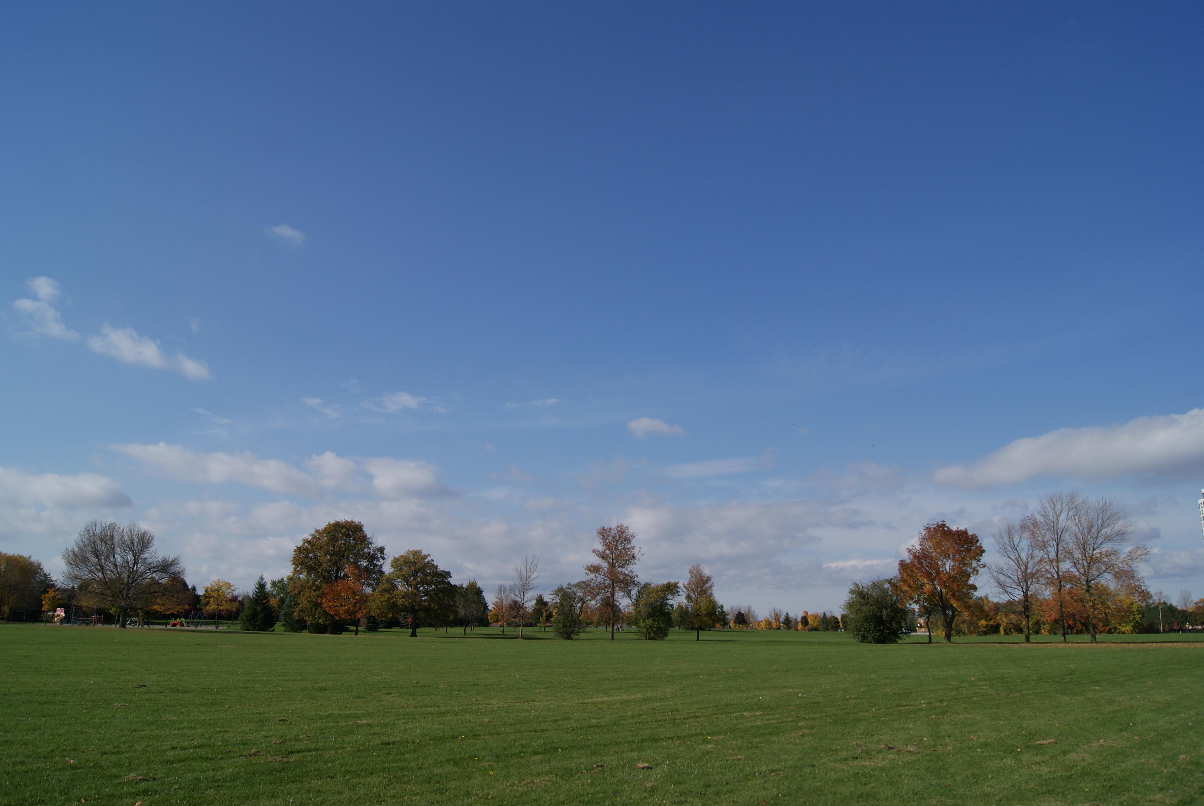 DSC03753-1.jpg