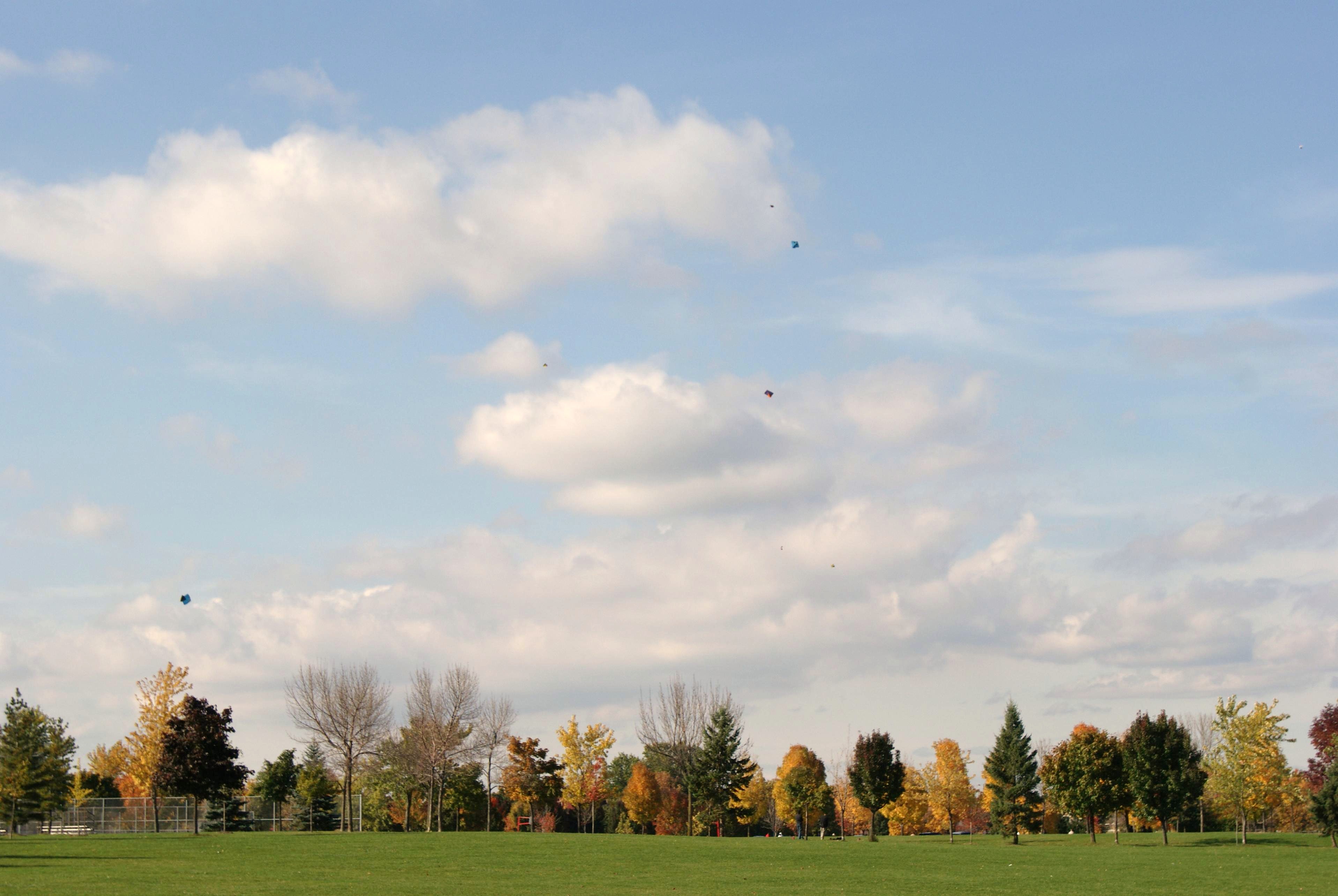 DSC03770-1.jpg