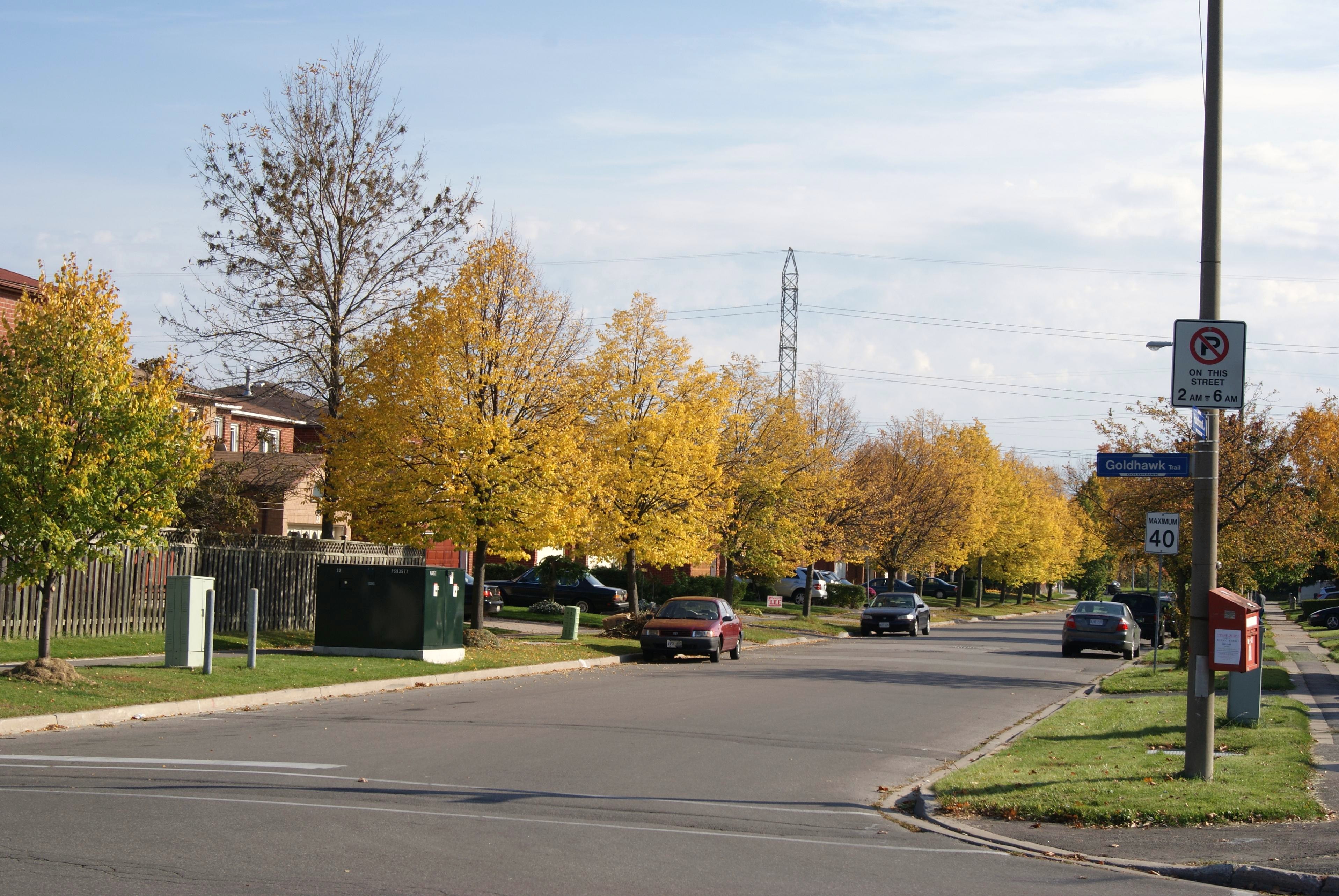 DSC03797-1.jpg