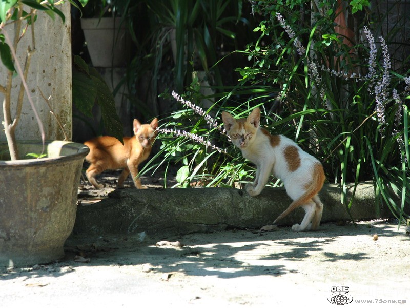 DSC_0261.jpg