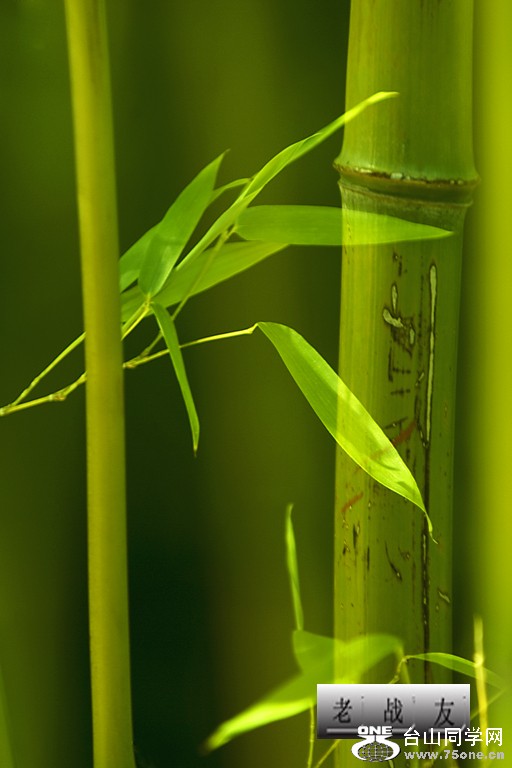 AS_YAN2880.jpg