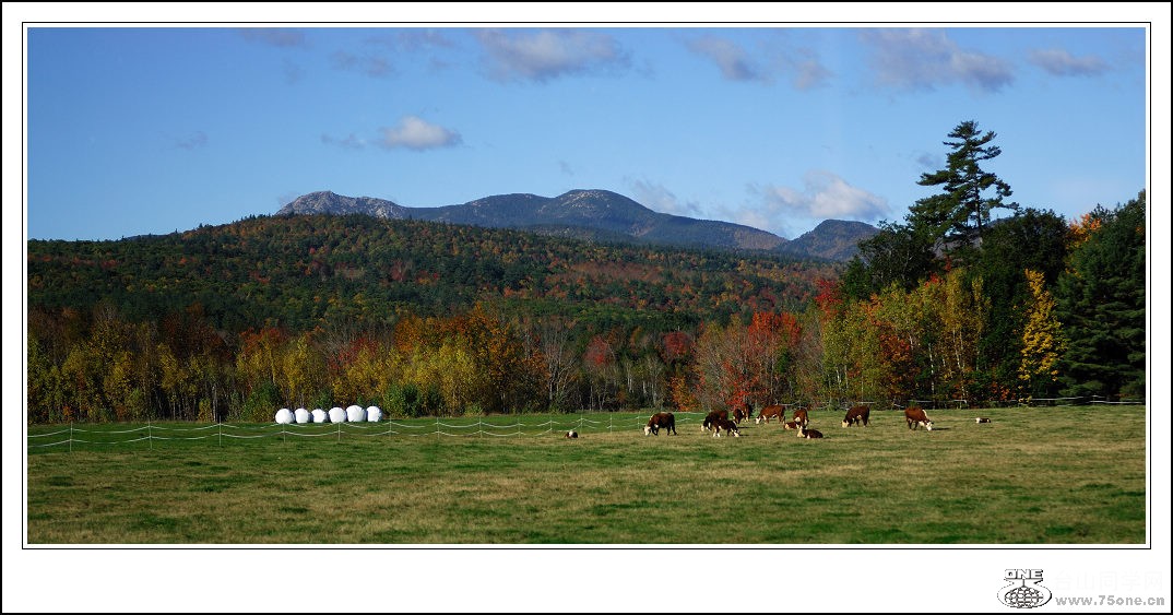 DSC_0276.jpg