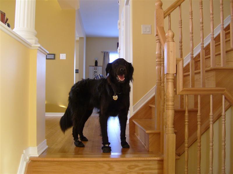 Picture 1022 (Medium) (Medium).jpg