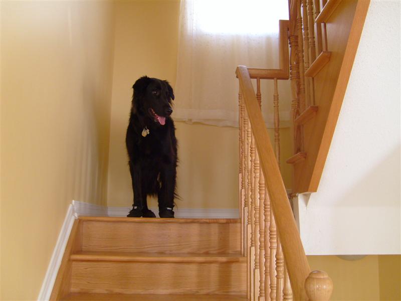 Picture 1007 (Medium).jpg