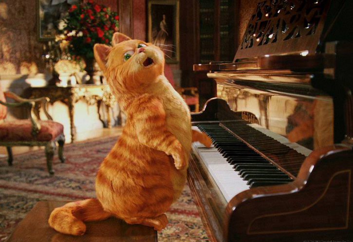 singing_cat.jpg