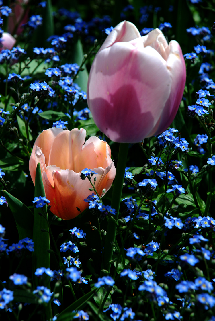 DSC_0020 a.jpg