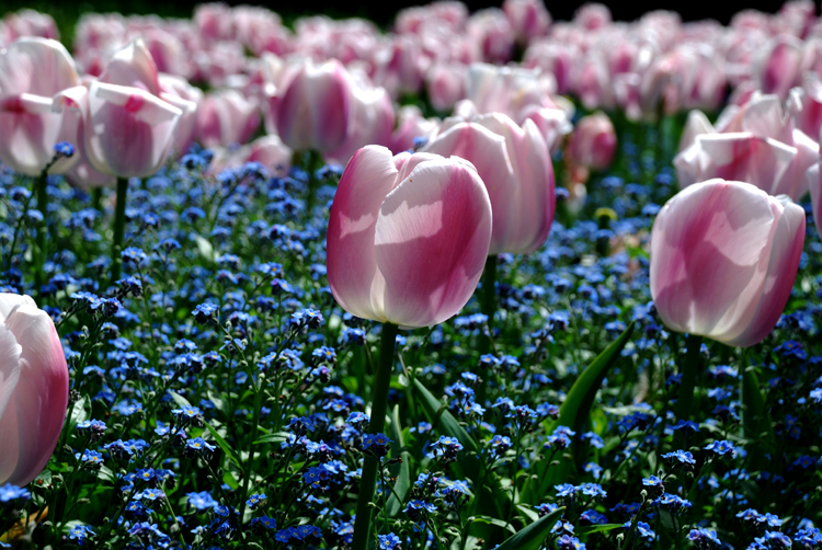 DSC_0016 a.jpg