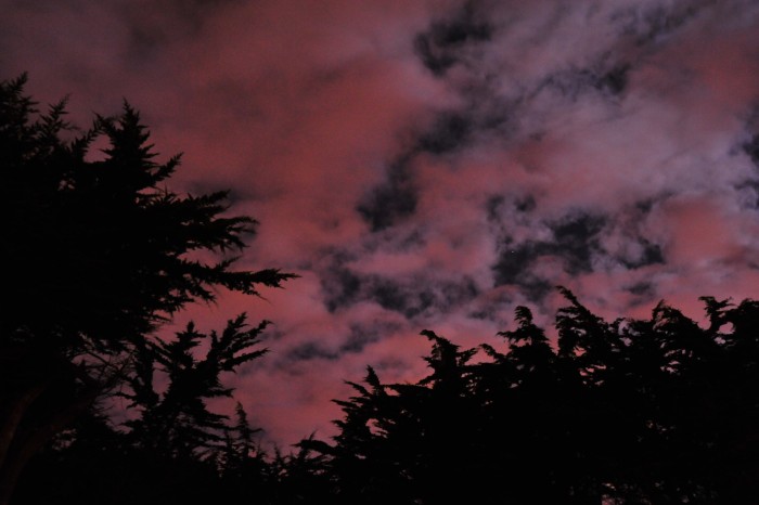DSC_1851_conew1.jpg