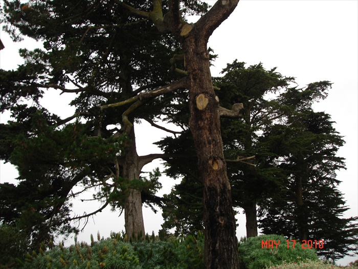 DSC00240.JPG