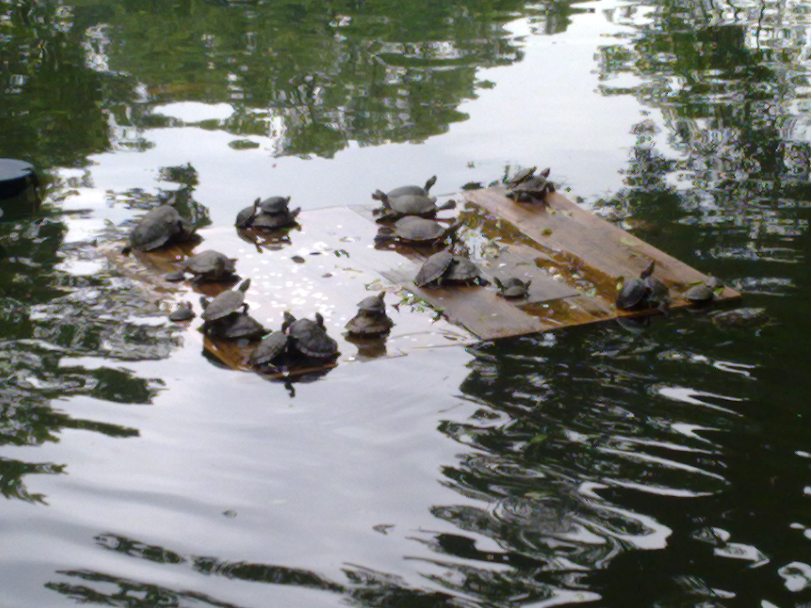 20100407186.jpg