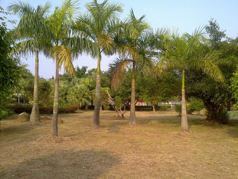 С 20101107614.jpg