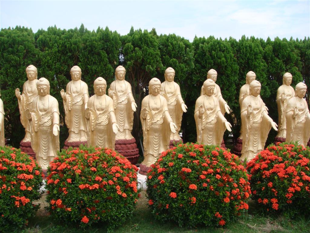 DSC04512 (2) (Large).JPG