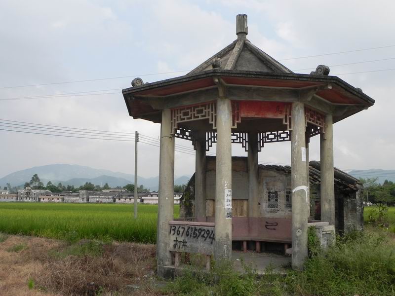 С DSCN3450.JPG