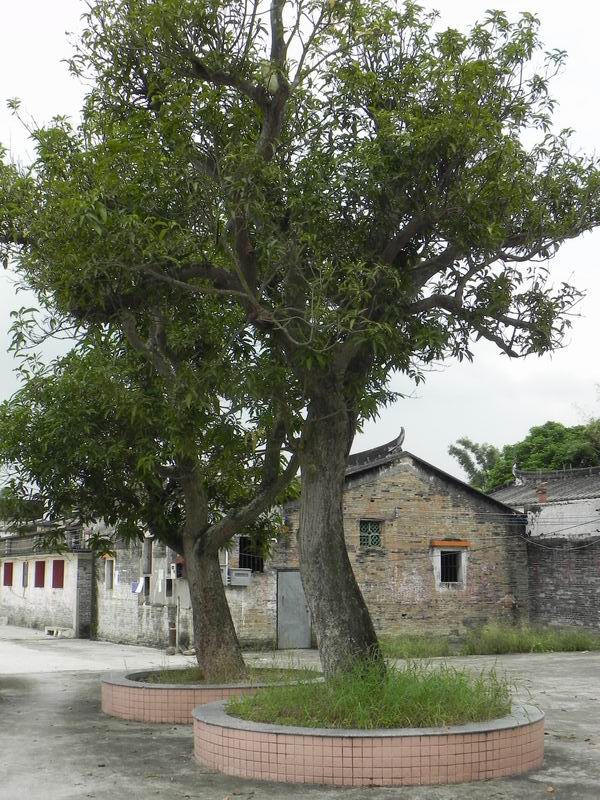 С DSCN3456.JPG