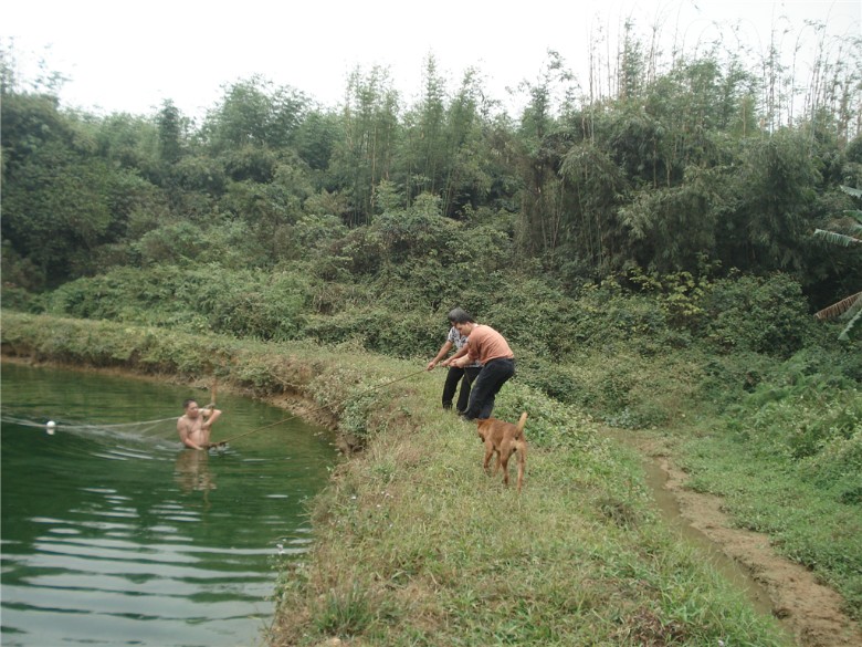 DSC03441_.jpg