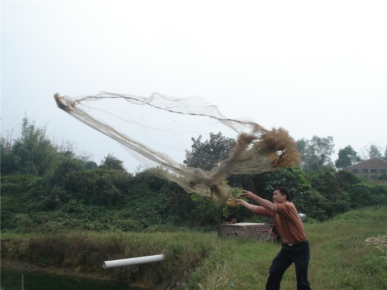 DSC03407_.jpg