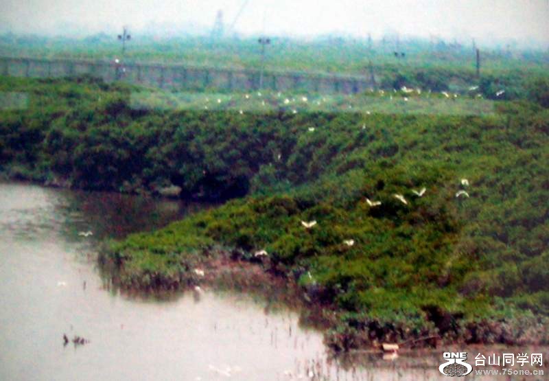2010 859.jpg