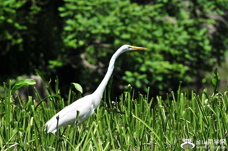 DSC_6693.JPG