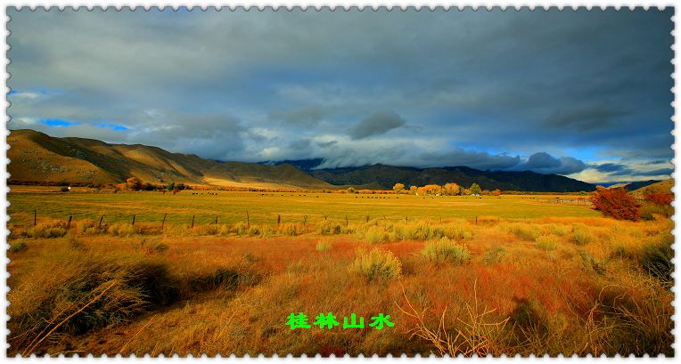 IMG_1873.jpg