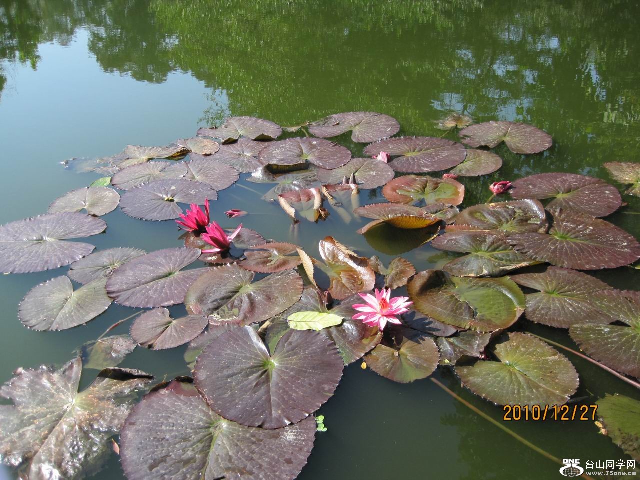 IMG_1163.jpg