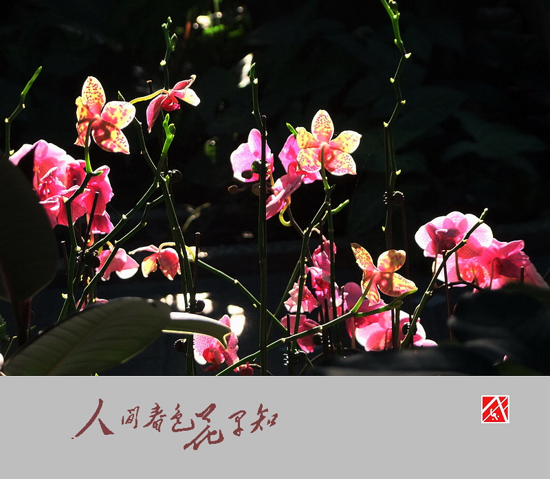 DSCF3041.jpg