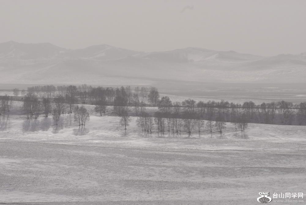 _DSC6003_СС.JPG