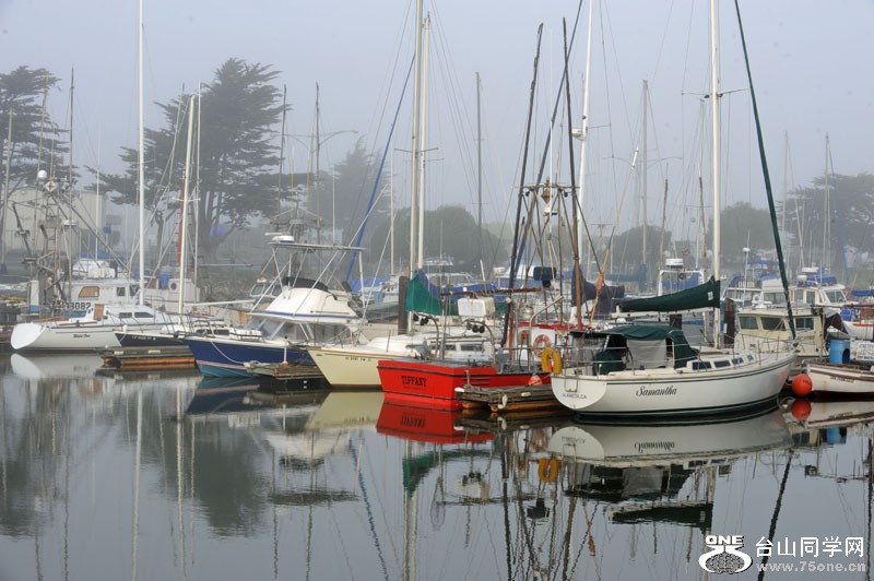 DSC_5489.JPG