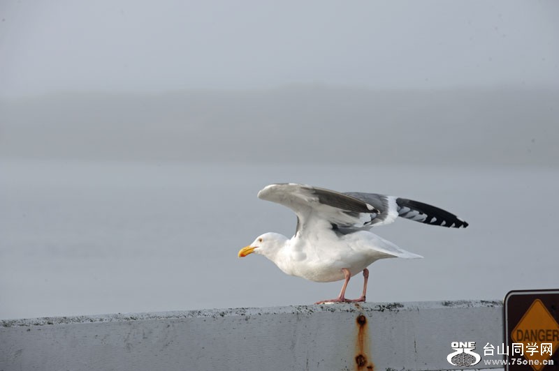DSC_5492.JPG