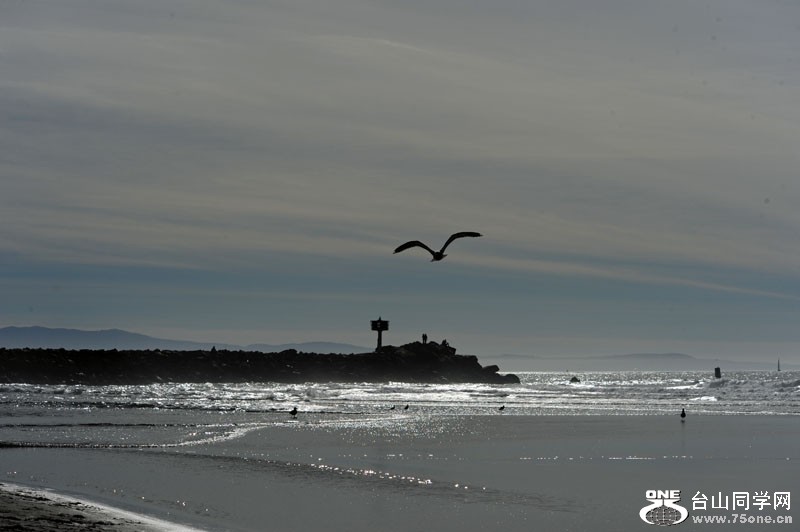 DSC_4950.JPG