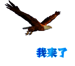 415.gif