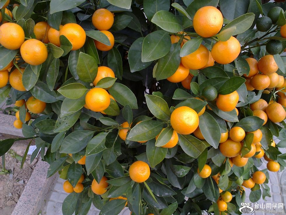 20110129251.jpg