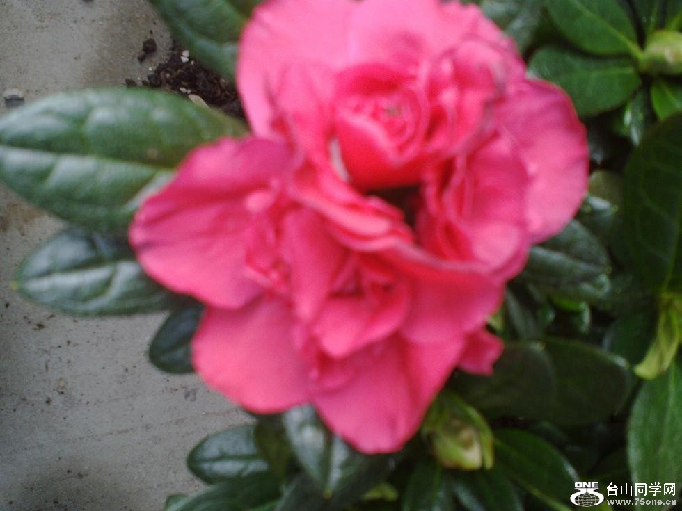 20110129276.jpg