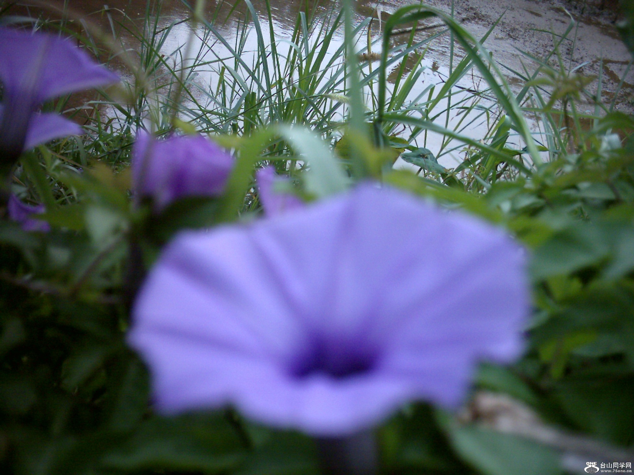 DSC_0186.JPG