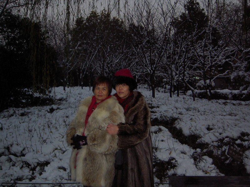 PICT3310.JPG