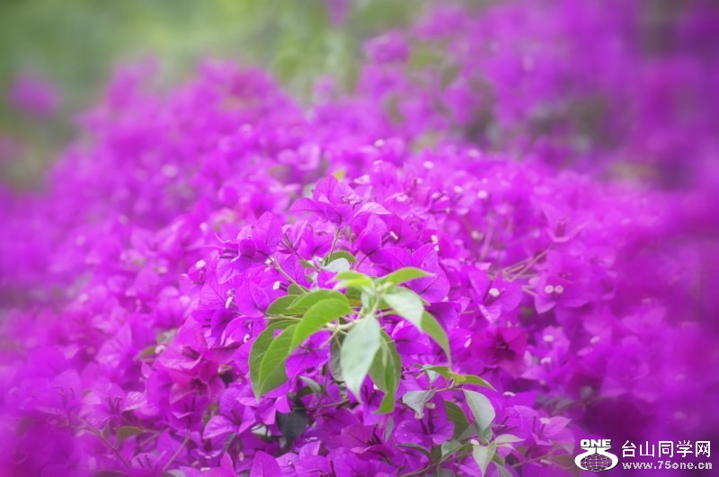 _DSC2995 [800x600].jpg