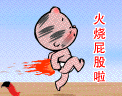 51.gif