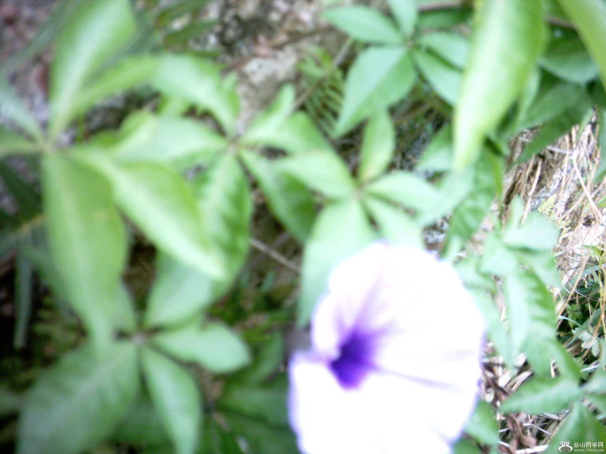 DSC_0187.JPG