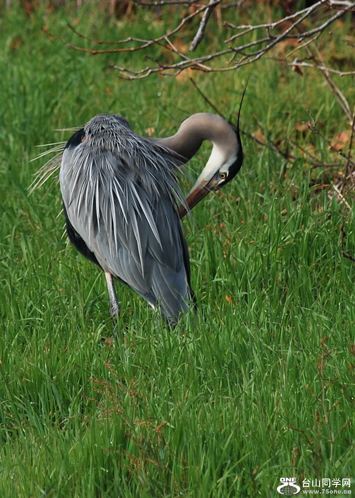 DSC_0021.JPG