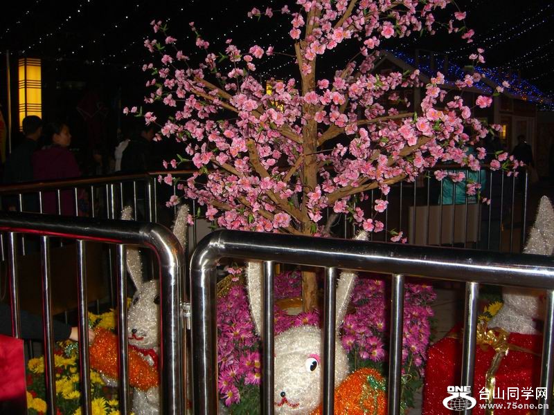 2011̨�Ǵ��� . (19).JPG