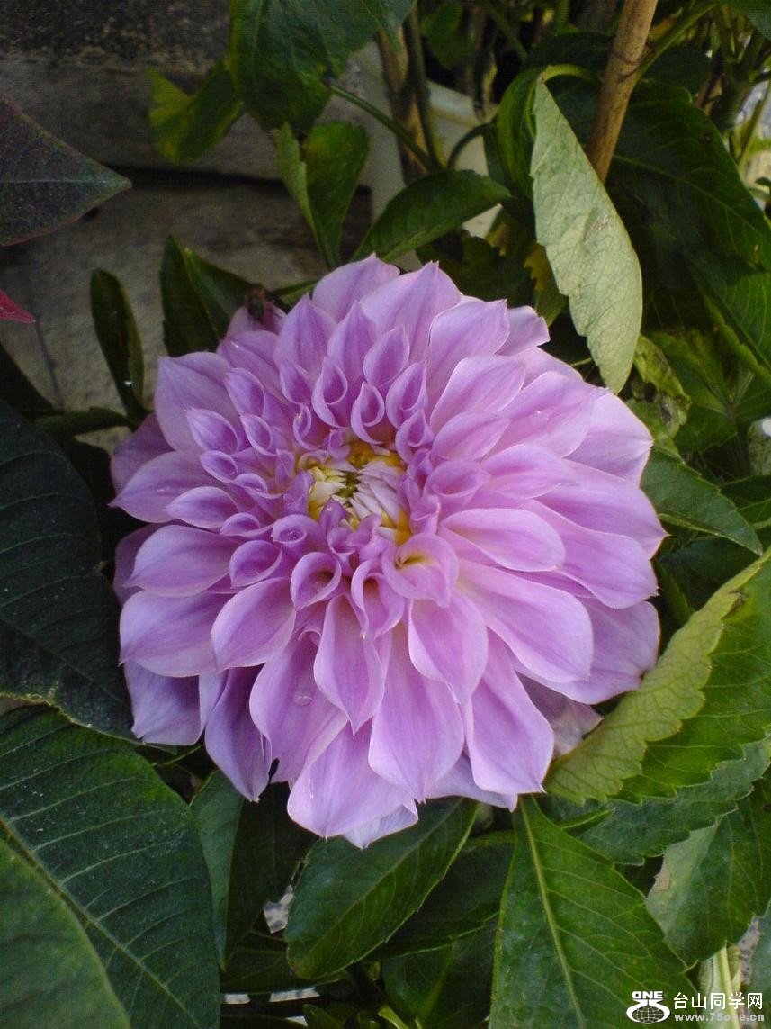 DSC05292.JPG