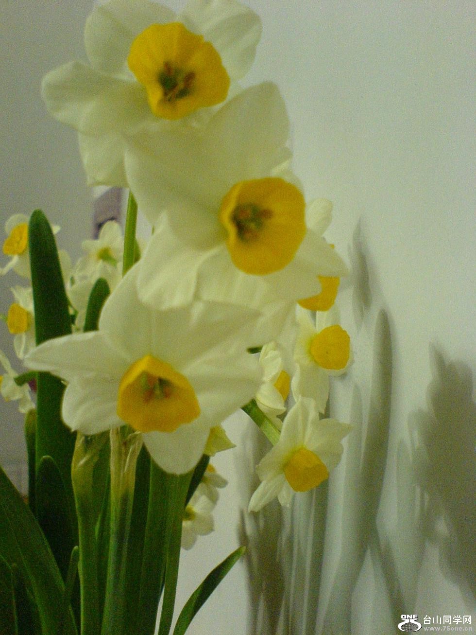 DSC05290.JPG