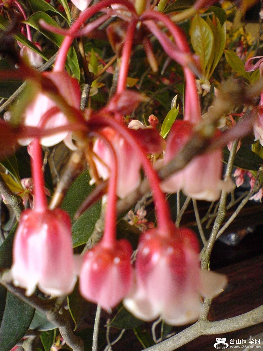 DSC05280.JPG