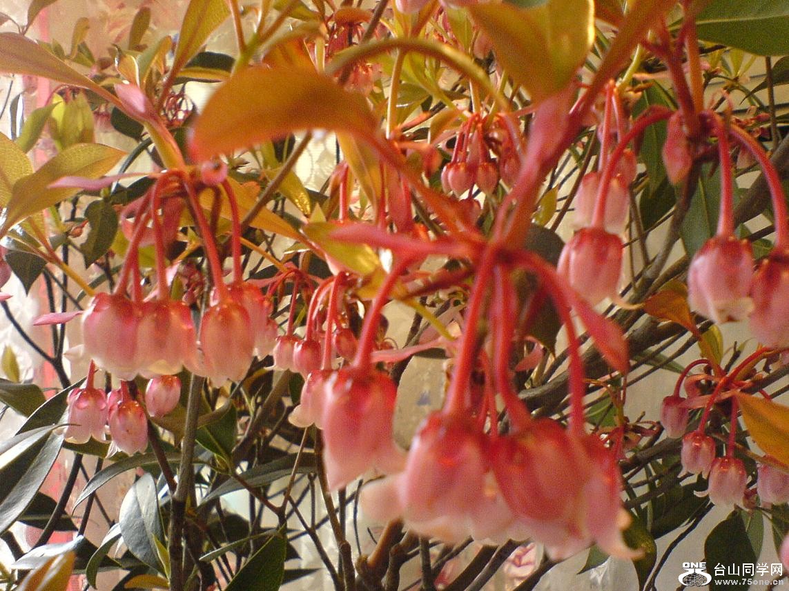 DSC05282.JPG